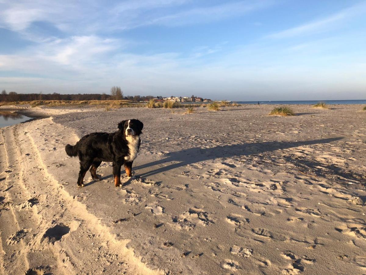 Ferienwohnung „Die Koje“ Hohwacht/Ostsee Экстерьер фото